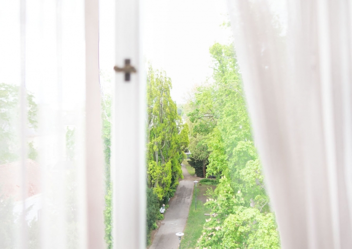 Blick aus einem Zimmerfenster auf den Harmoniegarten